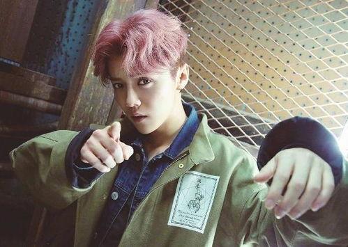 鹿晗爆料视频大全,揭秘明星幕后生活点滴 第1张 鹿晗爆料视频大全,揭秘明星幕后生活点滴 第1张